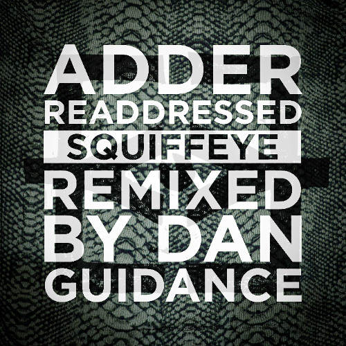 Shen- Dan Guidance Remix Edit