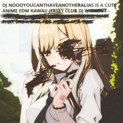 DJ NOOOYOUCANTHAVEANOTHERALIAS IS A CUTE ANIME EDM KAWAII JERSEY CLUB DJ 3/29/2022