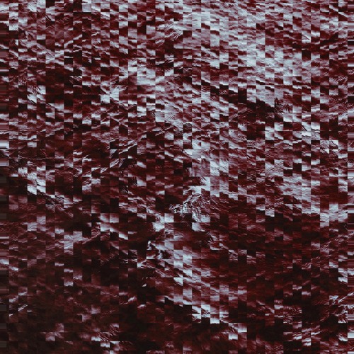 Whalestep -  Free Download