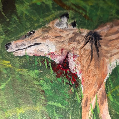 Coyote, My Little Brother -Mitski