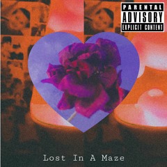 Lost In A Maze(Prod.domi-T x buckriderbeats)