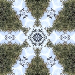 . We Speak in Music . frEestyLe Flow .