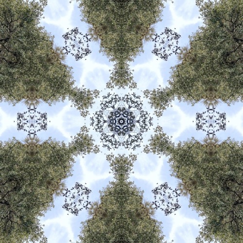 . We Speak in Music . frEestyLe Flow .