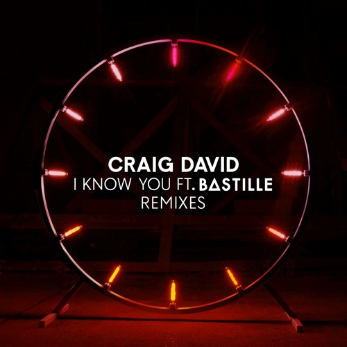 I Know You (Vigiland Remix) [feat. Bastille]