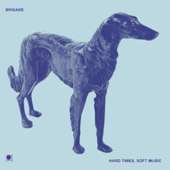 Brigade - Life After Plastic (LUL021)