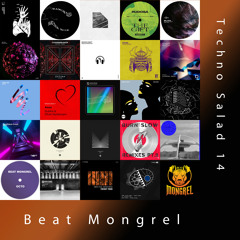 Techno Salad 14