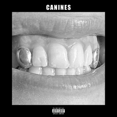 CANINES (ON ALL PLATFORMS)