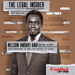 Nelson Havi on Police Abductions and Corruption | Legal Insider S03E12