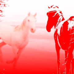 horse (luvluvbae,HW)