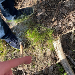 Lighter - Yasin ft. Headie One