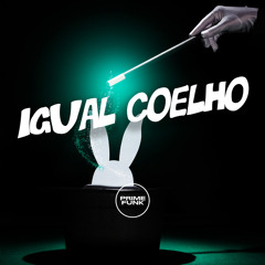 Igual Coelho