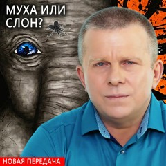 Муха или слон?