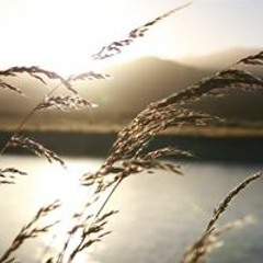 الحلقة الرابعة من سلسلة وفيهم نزل القرآن  - المحب الصادق