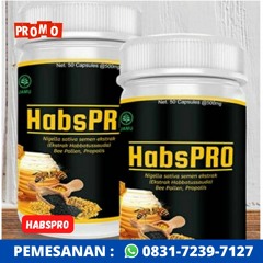 WA : 0831-7239-7127, HABSPRO KEDIRI,HABSPRO KHASIATNYA