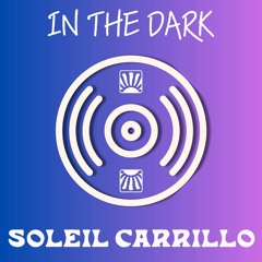 In the Dark (Soleil's Flavor Remix) - DEV (Prod. by The Cataracs)