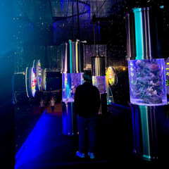 ╰┈➤ 𝑴𝒂𝒏𝒚𝒂𝒐 𝑴𝒊𝒙 𝟐𝟎𝟐𝟓 ᯓ ✈︎ #Lucas