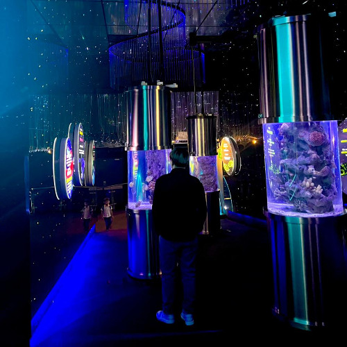 ╰┈➤ 𝑴𝒂𝒏𝒚𝒂𝒐 𝑴𝒊𝒙 𝟐𝟎𝟐𝟓 ᯓ ✈︎ #Lucas