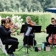 Wonderland (Taylor Swift) - string cover