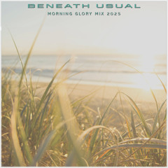 Beneath Usual "Morning Glory Mix" 2025