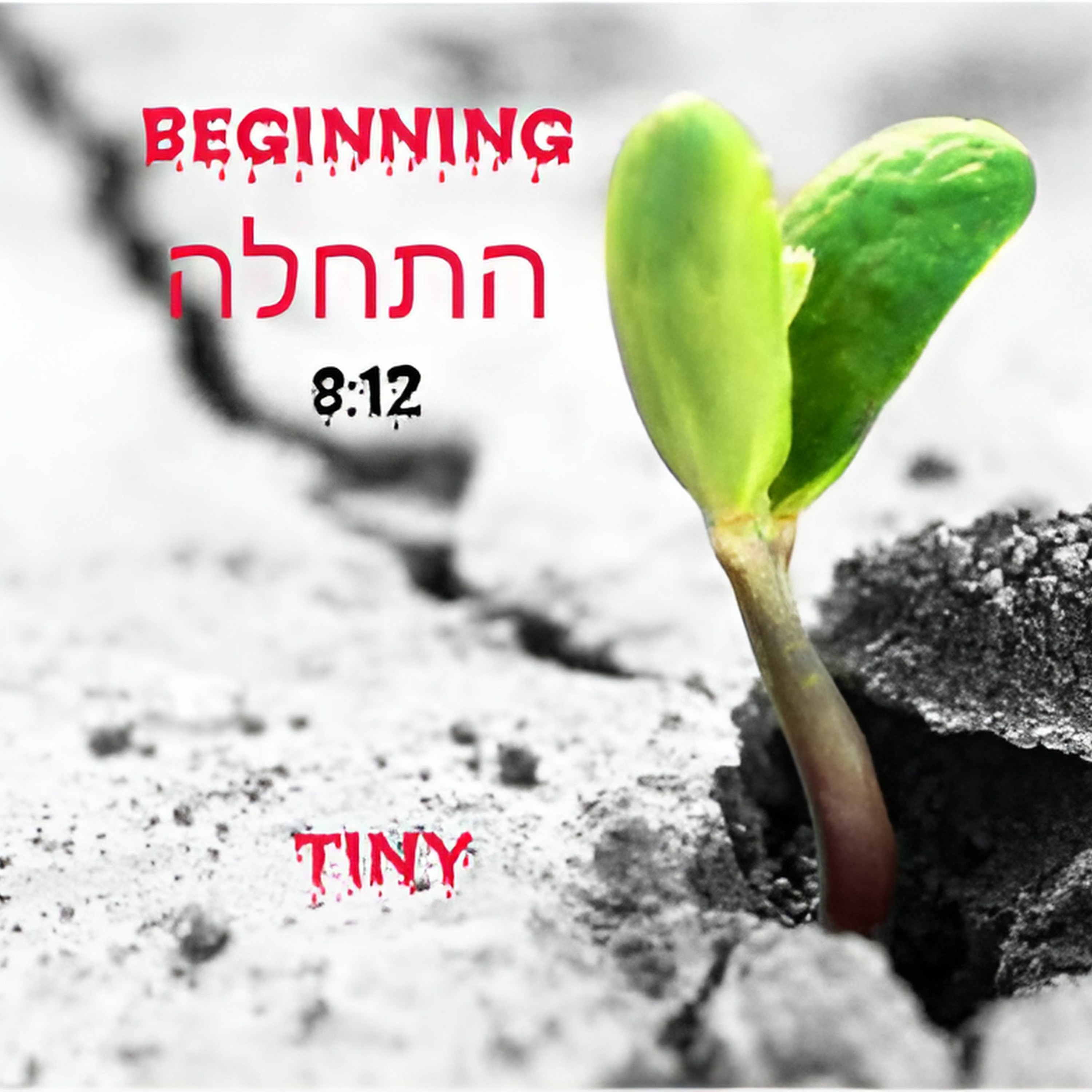 Beginning - התחלה episode artwork