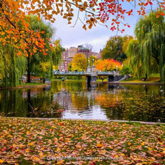 Best Things To Do In Boston Massachusetts October Tours Reviews