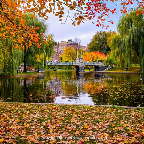 Best Things To Do In Boston October Tours Reviews