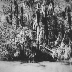 Alta - Instrumentals