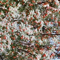 since september. (prod. voyce x jkei)