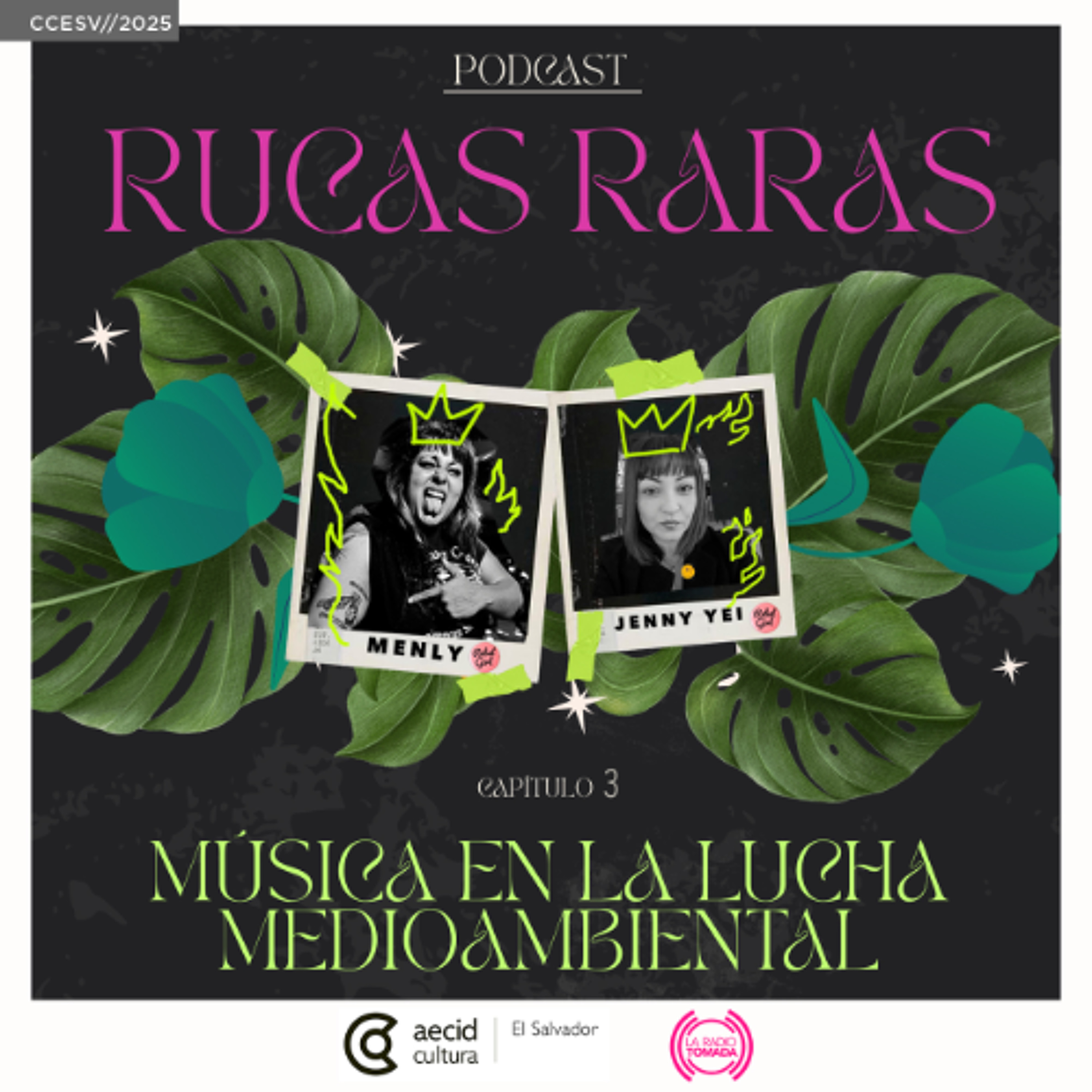 10 - Rucas Raras - Música en la lucha medioambiental episode artwork
