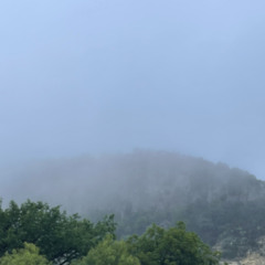 Face first by yunggoth - A cover + words