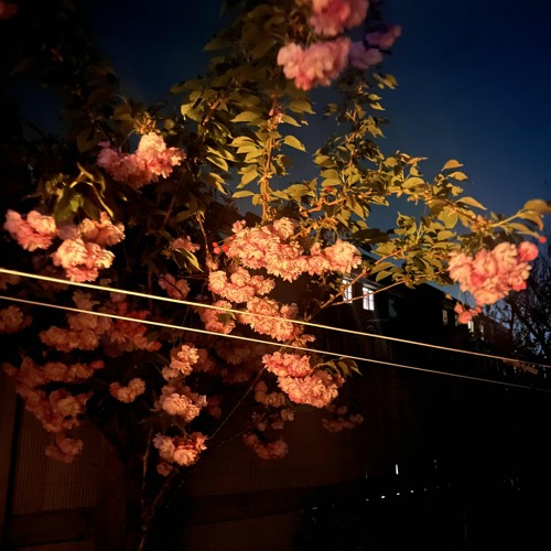 Was is it ever even real?