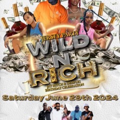 DJ VIPA WILD N RICH PROMO MIX 2024