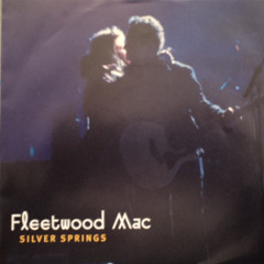 Silver Springs - Fleetwood Mac (slowed)