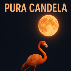 Pura Candela