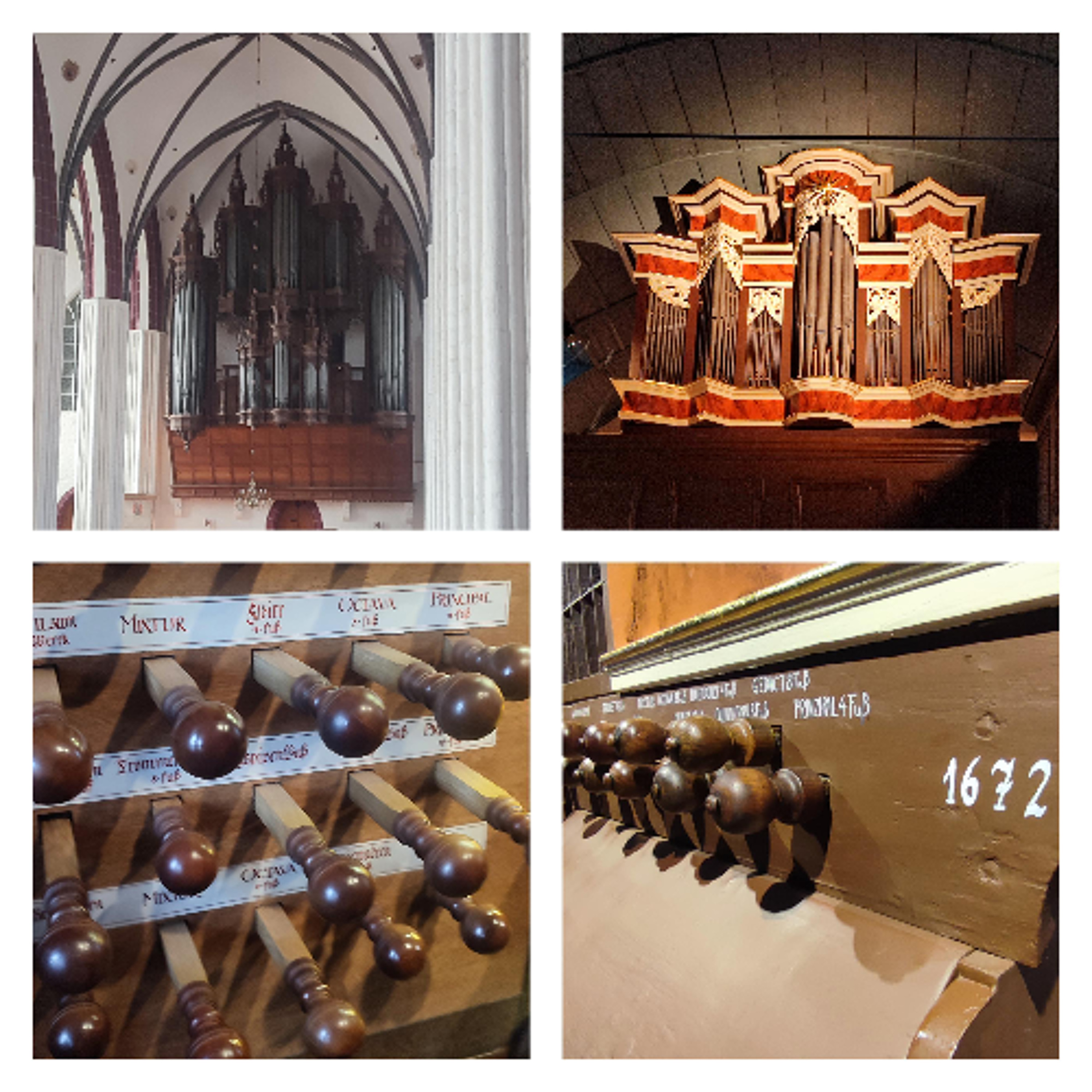 Internationale Orgeltagung im Sommer in Magdeburg