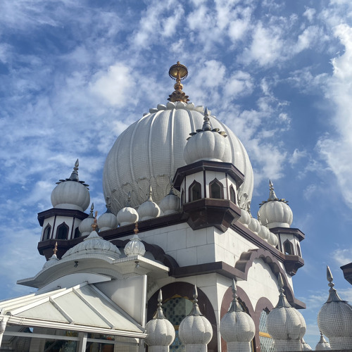 Maerae Bhai Janaa Koee Moko - Bhai Mohanpal Singh