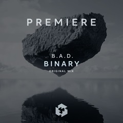 PREMIERE: B.A.D. - Binary (Original Mix)