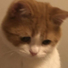 One Night Magic × Alone