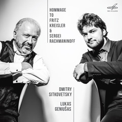 Violin Sonata in A Major, Op. posth. 162, D. 574: II. Scherzo - Presto