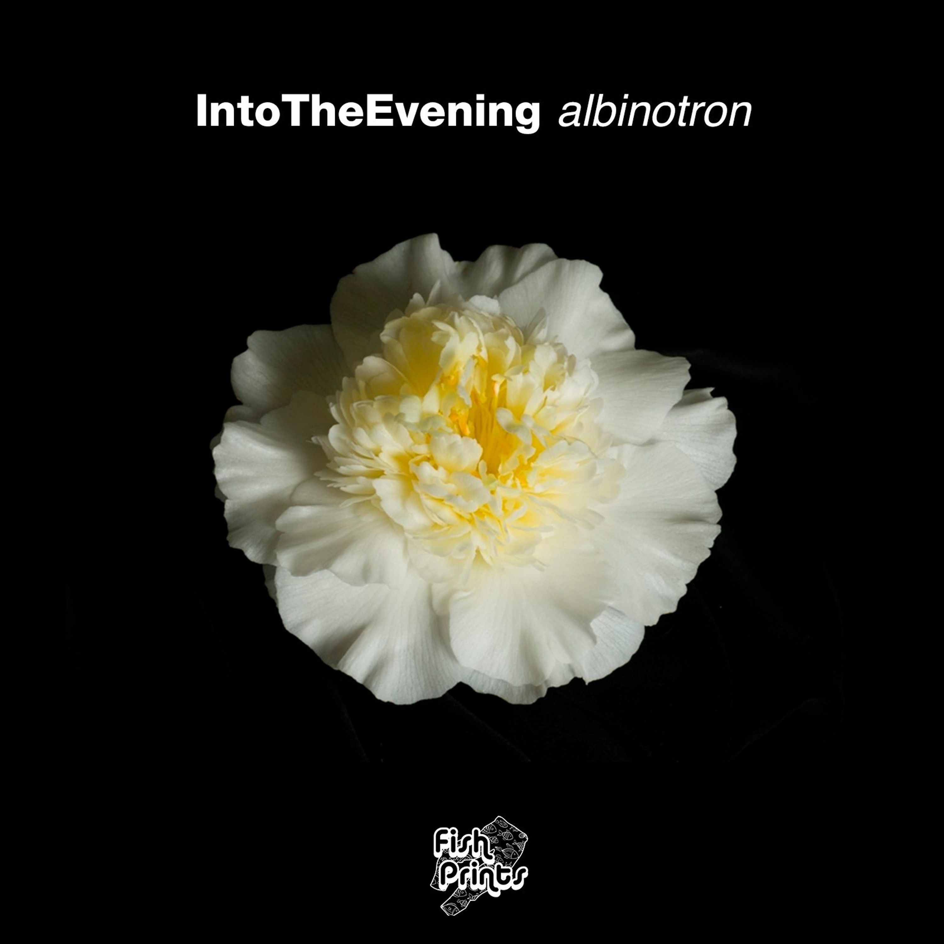 IntoTheEvening albinotron episode artwork