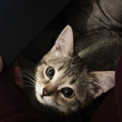 sehvn • leave her (mannydane) [jahserum + dj blat exclusive]