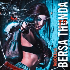 INSIDEEUS - BERSA THUNDER