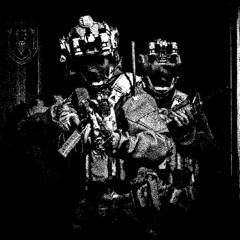 STEALTH (REMIX)