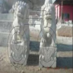 667