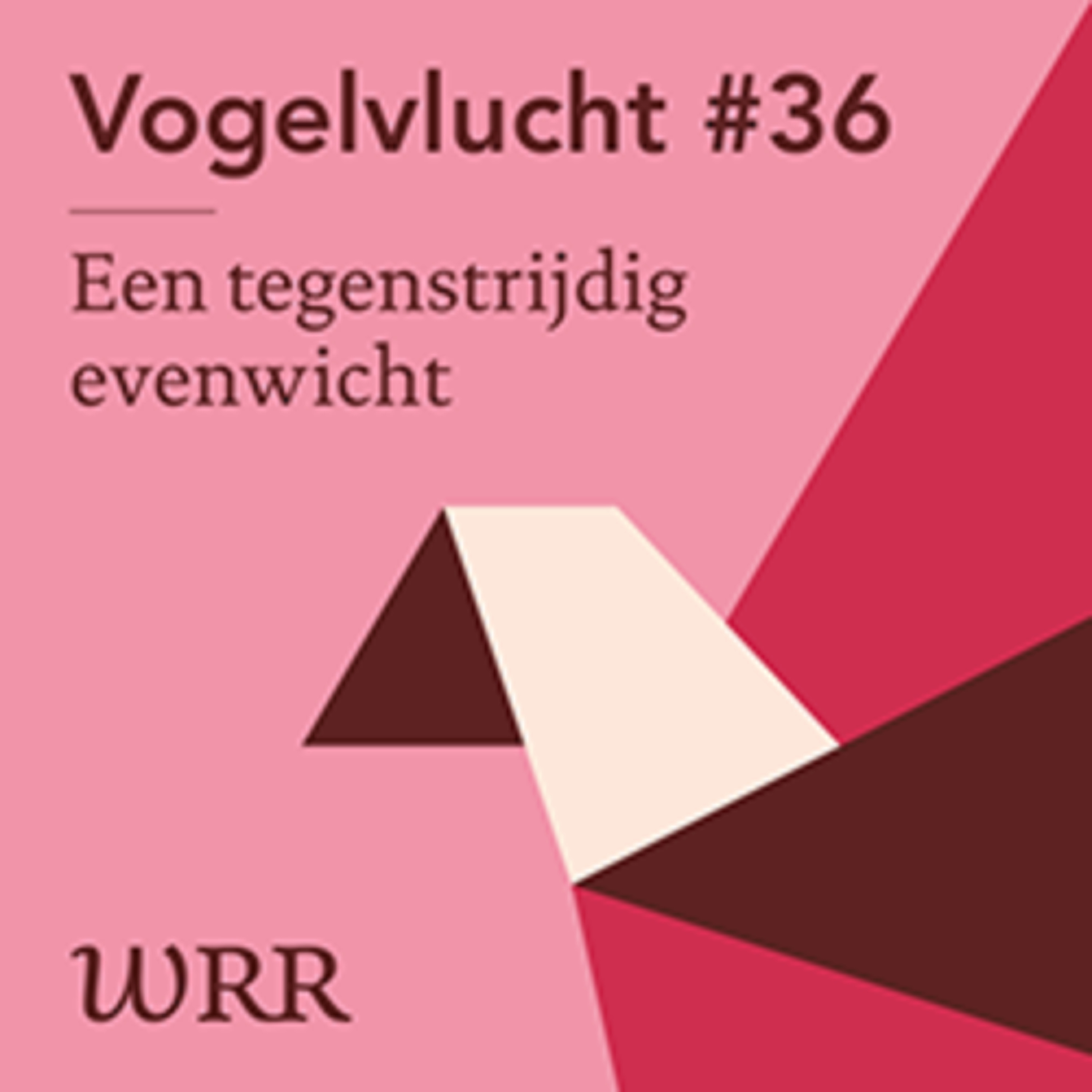 #36 WRR Een tegenstrijdig evenwicht