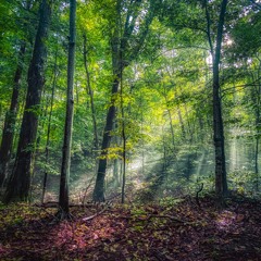 Go With The Flow [D'N'B, FreeForm, Hitech 165-195bpm]