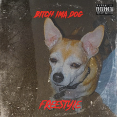 Bitch Ima Dog (freestyle)