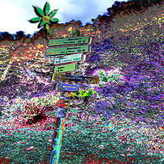 BOOKINGAgency | MaGöiZ