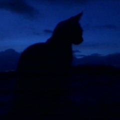 вул. Фучика - adm:t / 8d effect