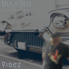 Vibez